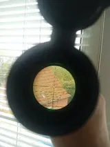 V. review photo