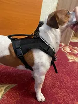 k. review photo