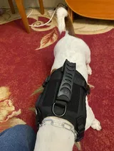 k. review photo