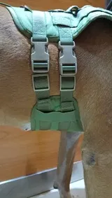 D. review photo