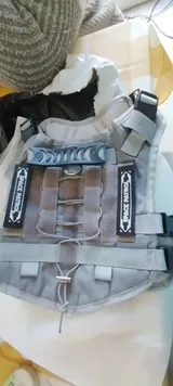 C. review photo