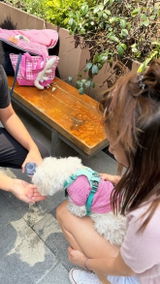 Mika's mom review photo