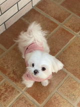 Lucy review photo