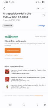 Vincenzo Fiore review photo