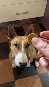 Nola & Riggs review photo