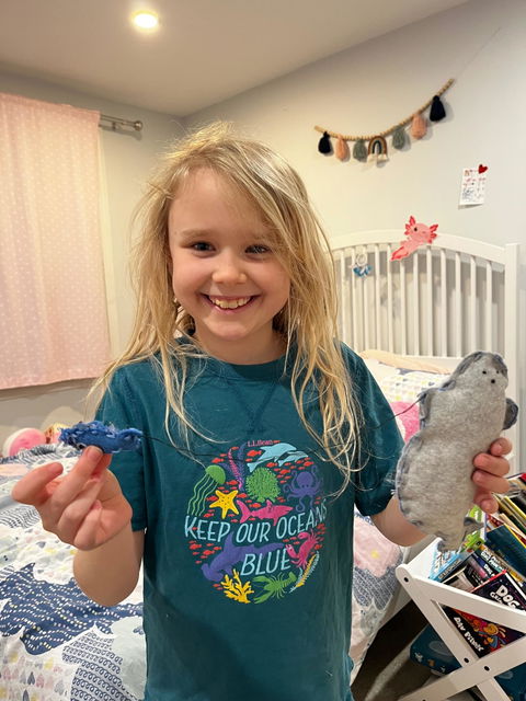 Seal and Fish felt sewing kit for kids
