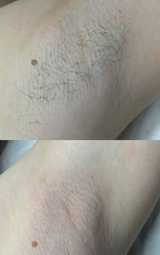 sudashannon review photo
