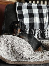 Viviana review photo