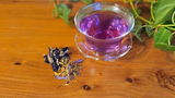 Shaz Joli review photo