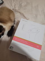 Rute Q. review photo