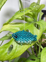 Olga S. review photo