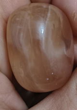 Bello review photo