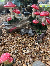Cindy Eads review photo