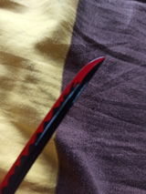 Shekhar S. review photo