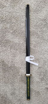 Pavel review photo