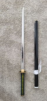 Pavel review photo