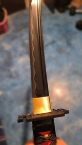 Raziel G. review photo