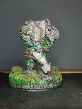 Sasja review photo
