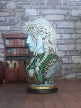 Sasja review photo