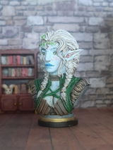 Sasja review photo