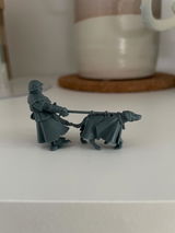 Anthony V. review photo