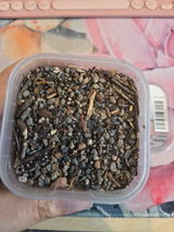 Chantelle review photo