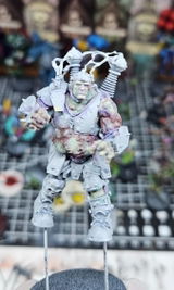 Wim S. review photo