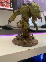 Tim v. review photo