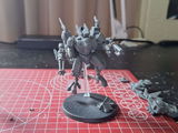 Wess review photo