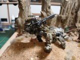 Rob S. review photo