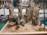 Rob S. review photo
