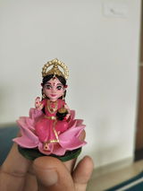 Srinath review photo