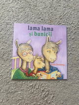 Elena B. review photo