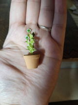 LilHoneyBat review photo