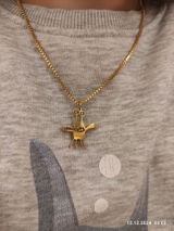 i.s. review photo