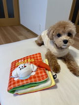 匿名 review photo