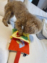 匿名 review photo
