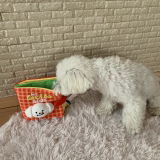 匿名 review photo
