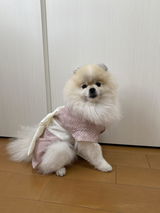 匿名 review photo