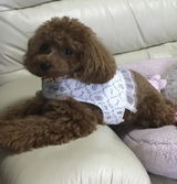 匿名 review photo