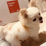 匿名 review photo