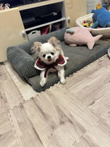 匿名 review photo