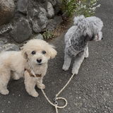 匿名 review photo