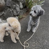匿名 review photo