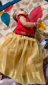 Vijaya Lakshmi review photo