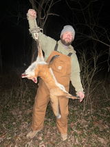 Goose review photo