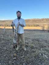 Goose review photo