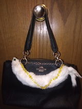 ALEANA S review photo