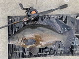 bluewaterbasher review photo