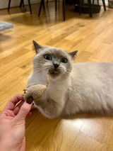 Denise review photo